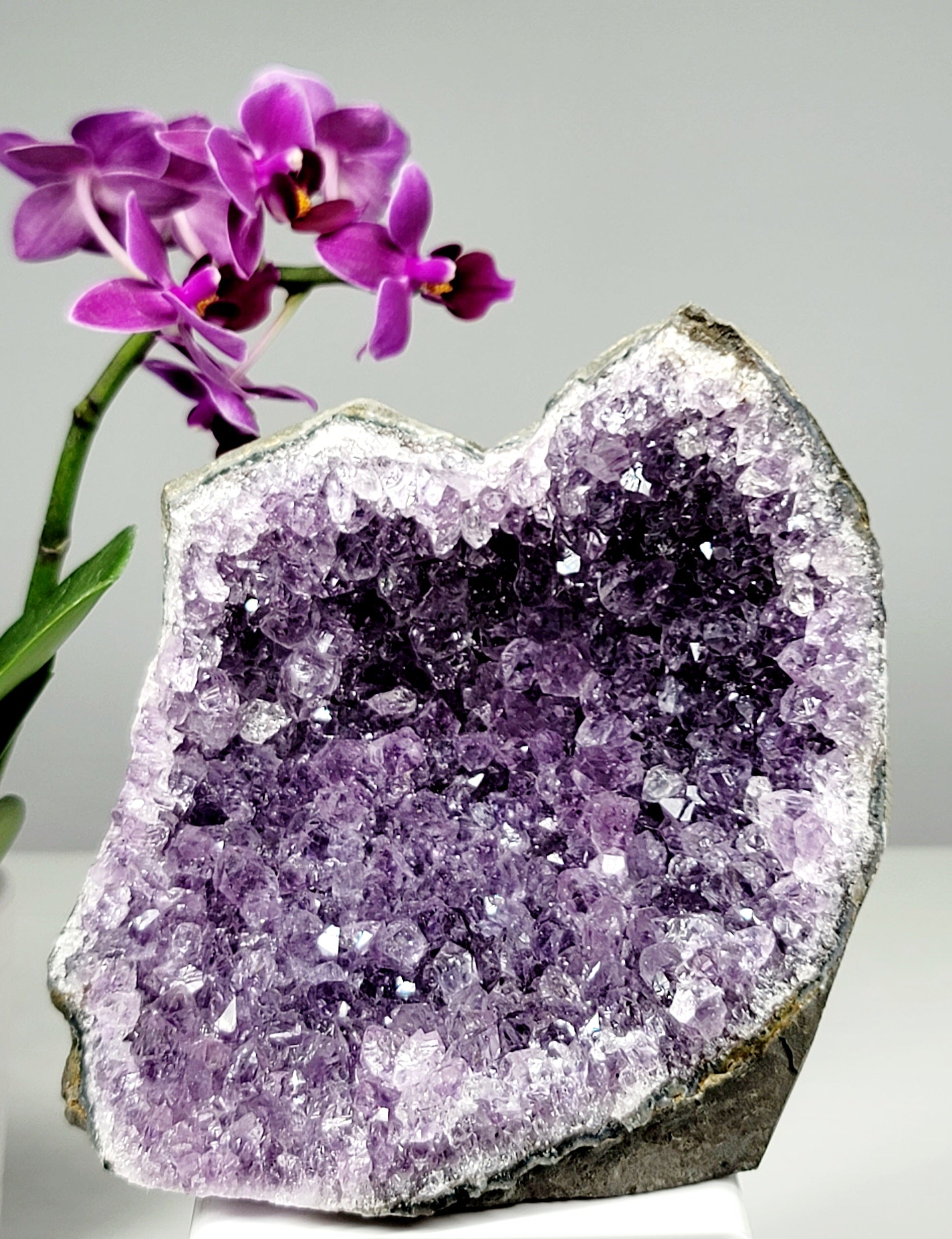 Druzy Amethyst Freeform