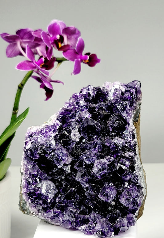 Druzy Amethyst Freeform