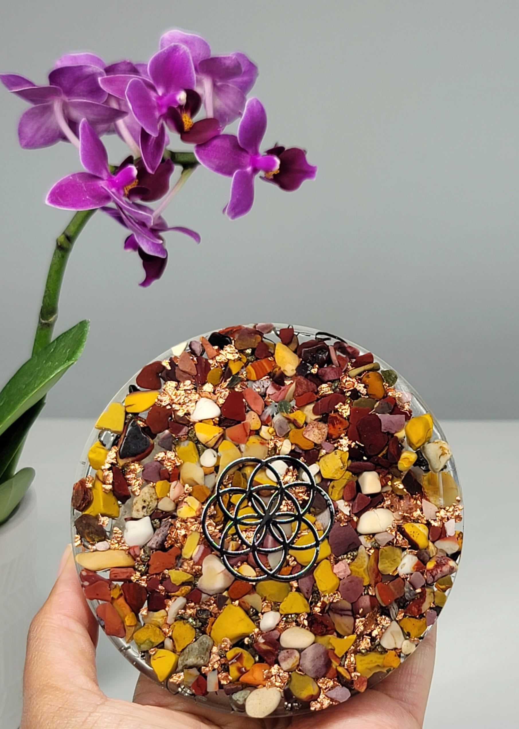 Mookaite Seed of Life Orgone Plate