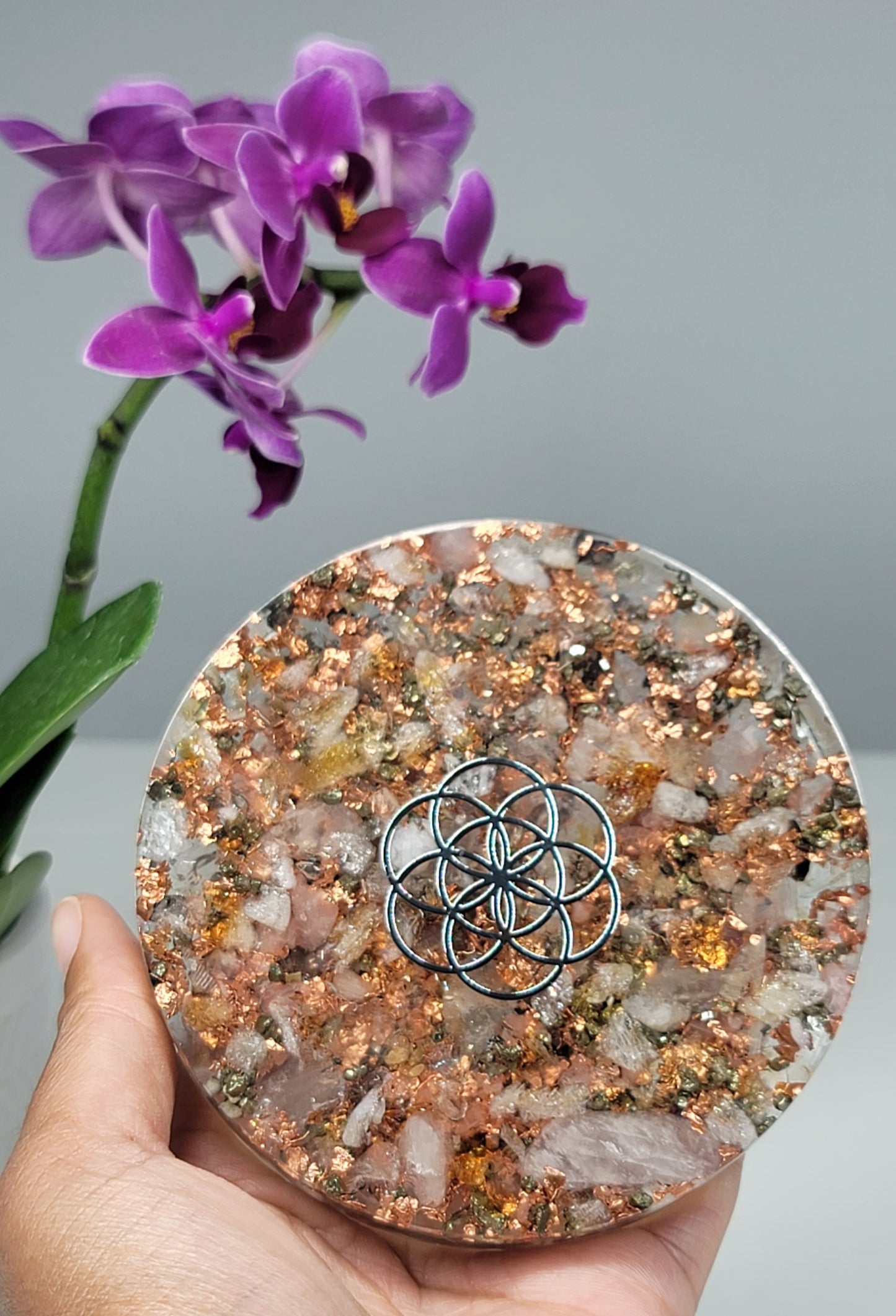 Citrine Seed of Life Orgone Plate