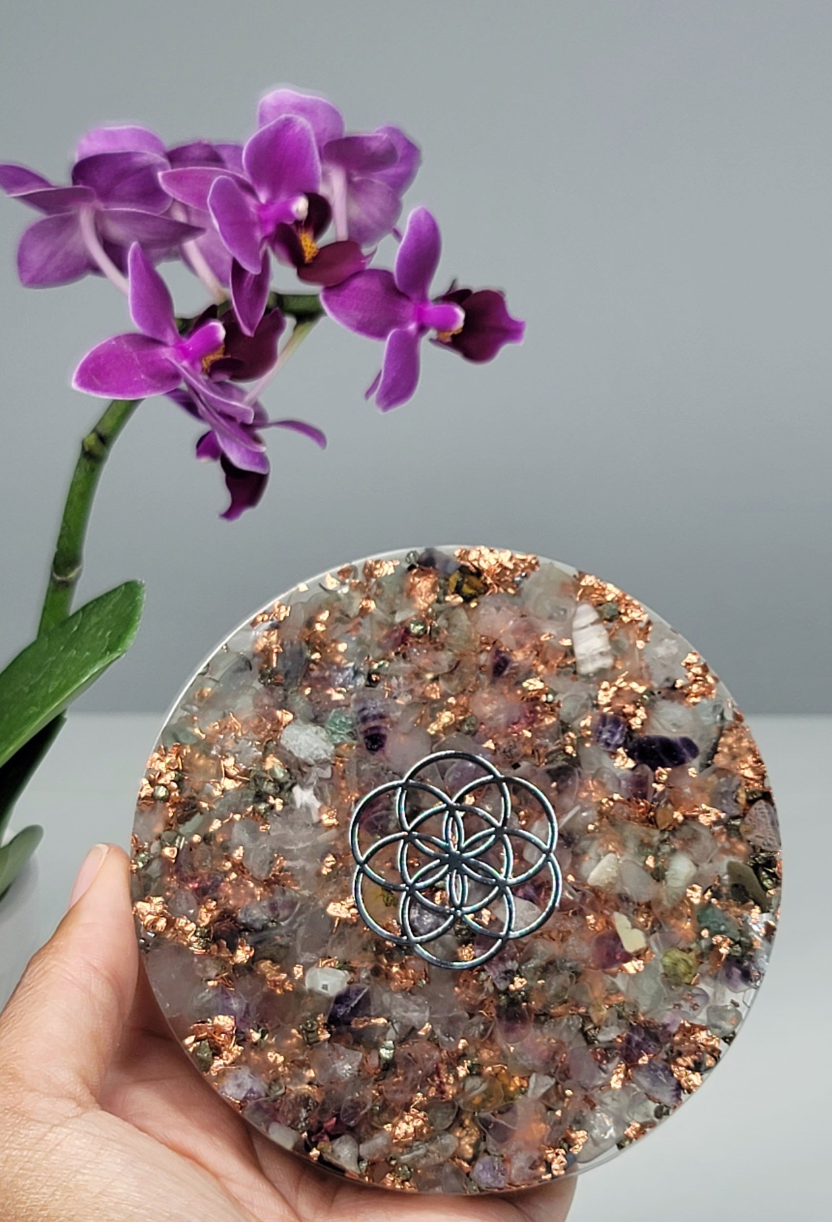 Fluorite Seed of Life Orgone Plate