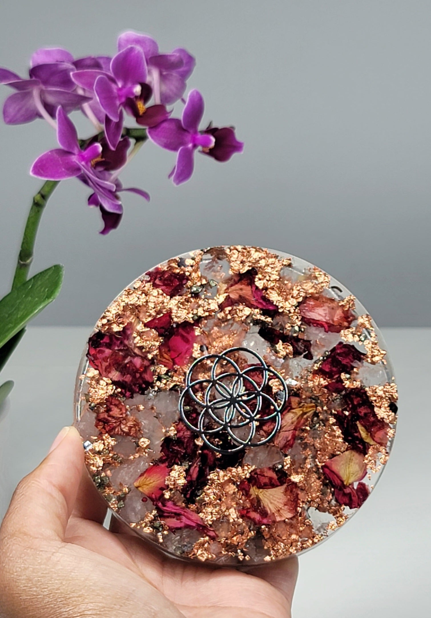 Rose Seed of Life Orgone Plate