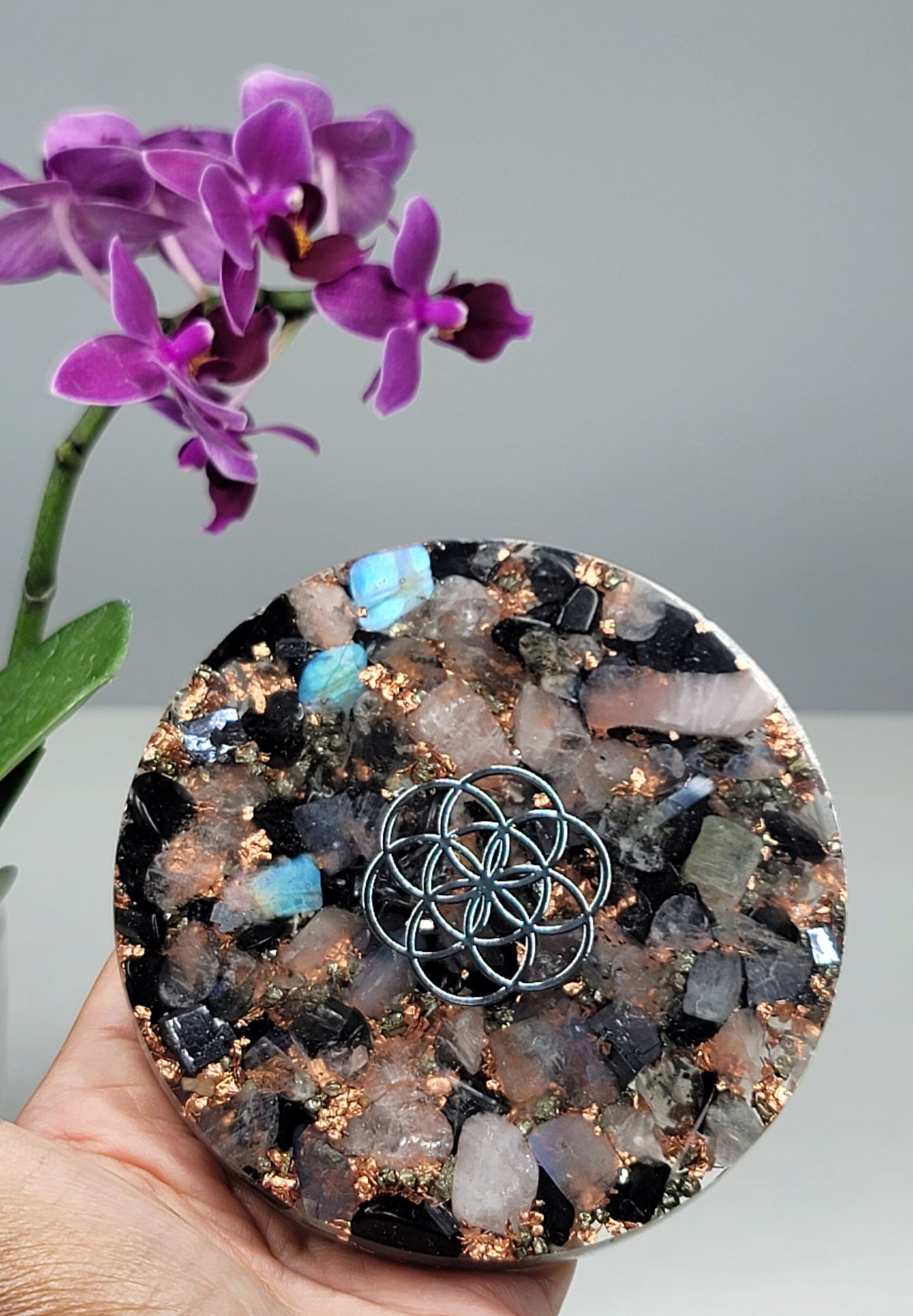 Labradorite Seed of Life Orgone Plate