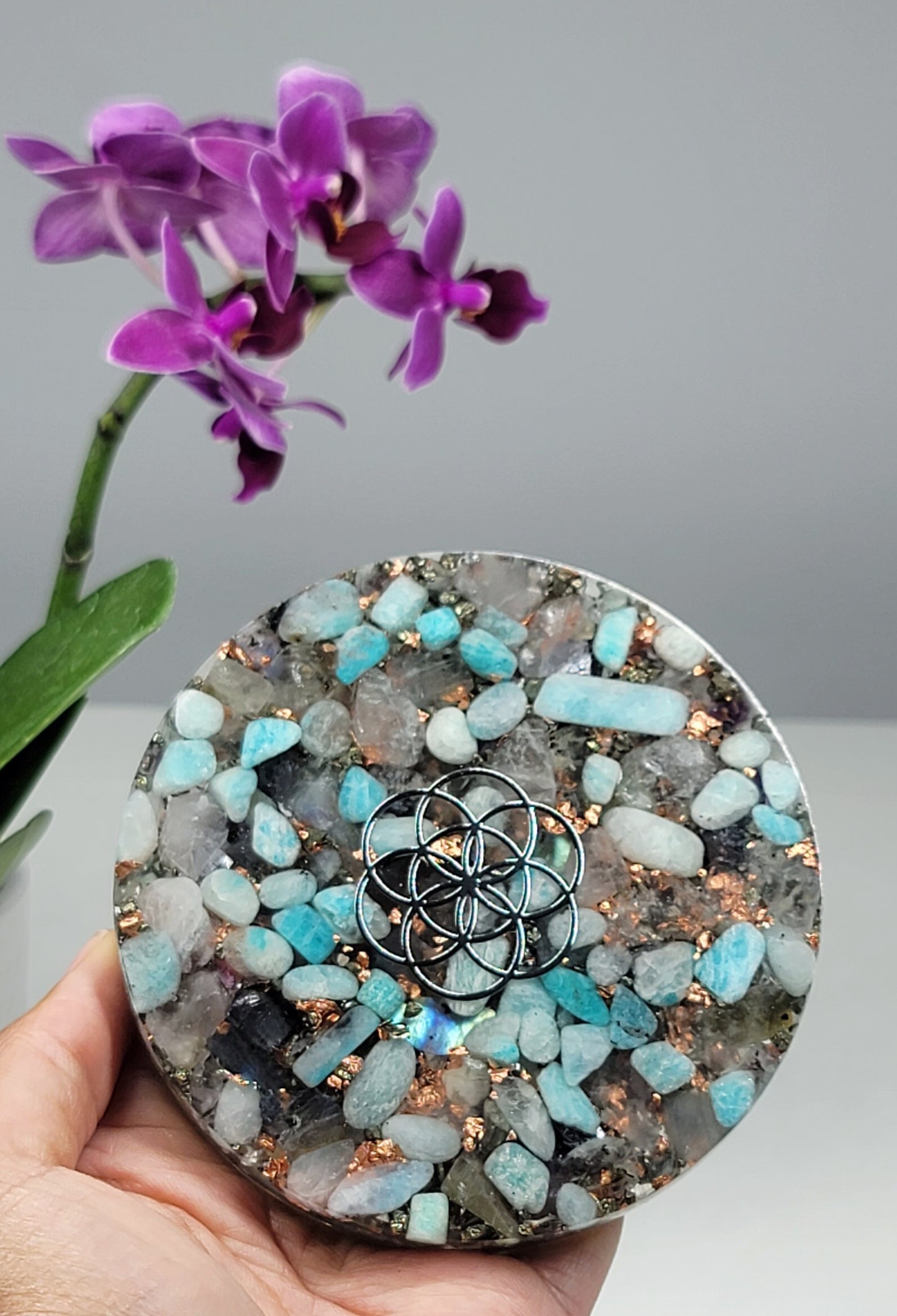 Amazonite Mixed Stone Seed of Life Orgone Plate