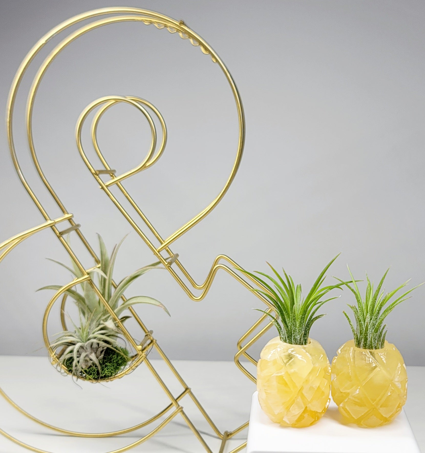 Honeycomb Calcite Pineapple Planter