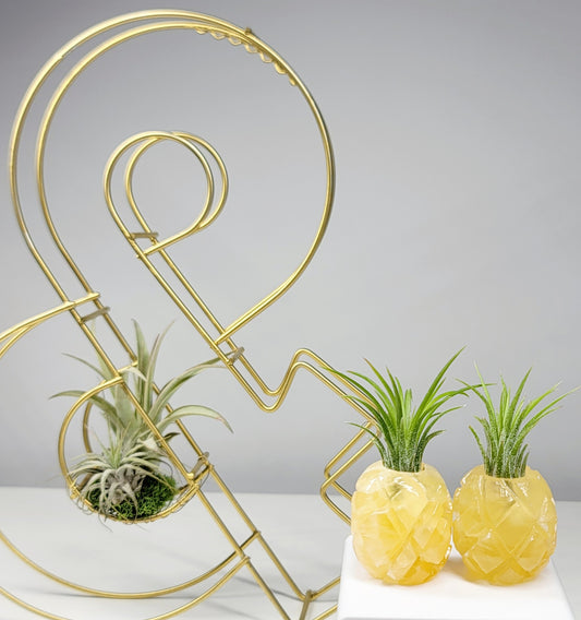 Honeycomb Calcite Pineapple Planter